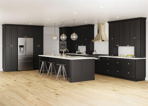Onyx Black Shaker