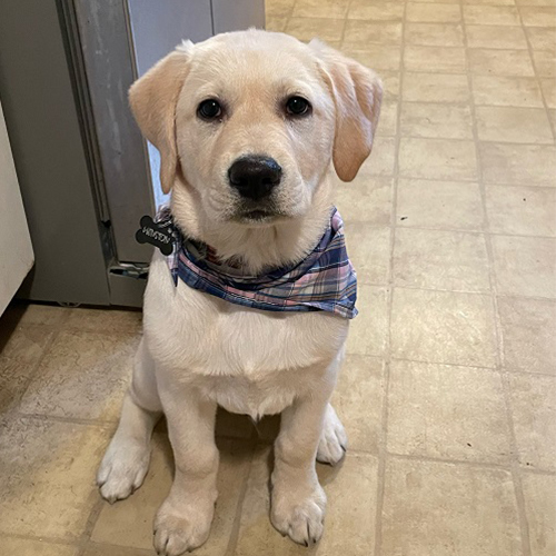 Winston