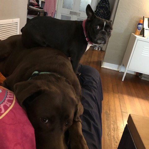 Jack and Piper