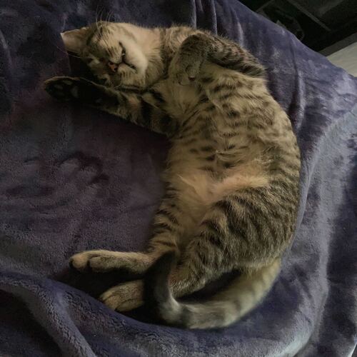 Luna